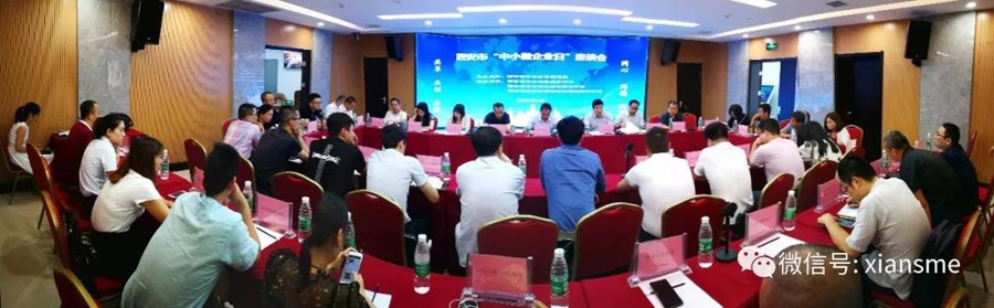 西安市举办&ldquo;中小微企业日&rdquo;座谈会&mdash;提供中小企业全方位服务，推动民营经济高质量发展