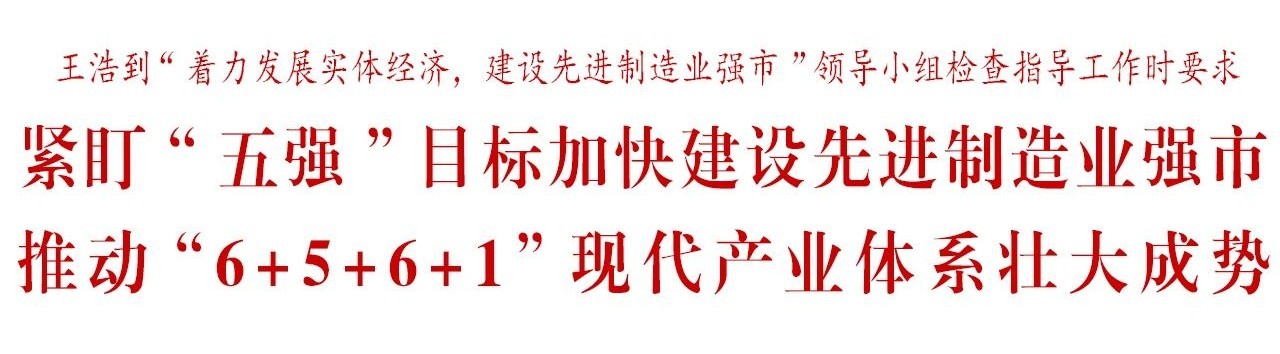 王浩到&ldquo;着力发展实体经济，建设先进制造业强市&rdquo;领导小组检查指导工作
