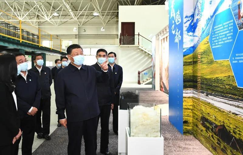 习近平：深入推进青藏高原生态保护和高质量发展/李克强主持召开国务院常务会议