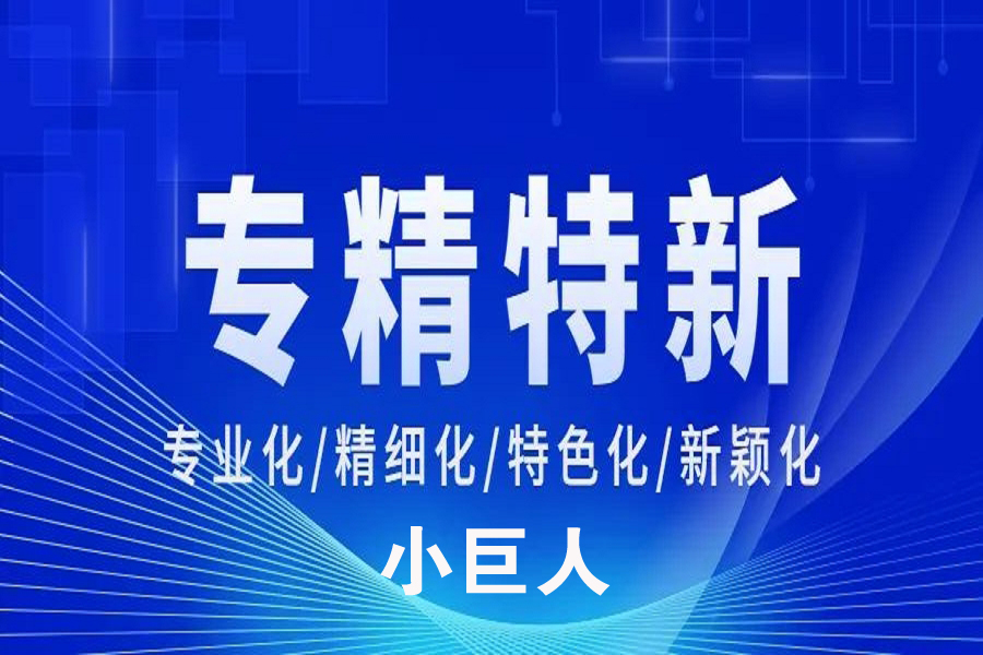 西安专精特新&ldquo;小巨人&rdquo;企业 释放发展&ldquo;大能量&rdquo;
